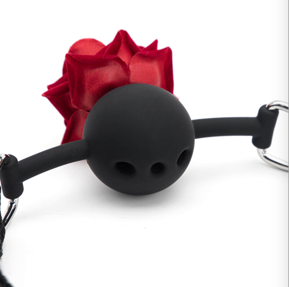a mouth gag sex ball gag mouth