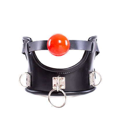 a ball gag and collar