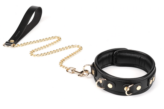 a black collar and leash set